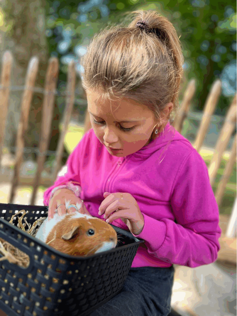 Zes weken plezier bij de Avonturen BSO